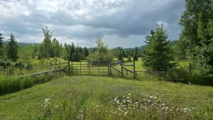 12 Property road access